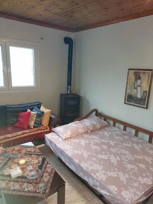 Apostolos Holiday home *